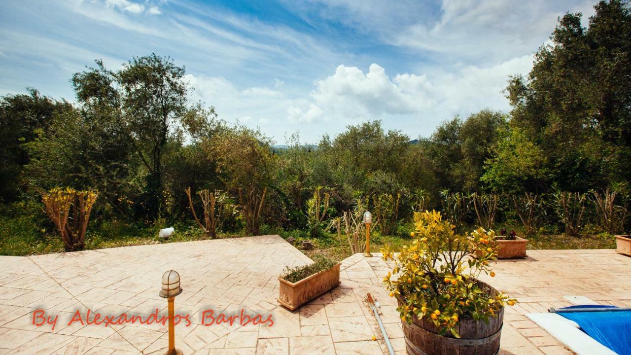 Bourikos House Corfu Διαμέρισμα Άνω Κορακιάνα Εξωτερικό φωτογραφία