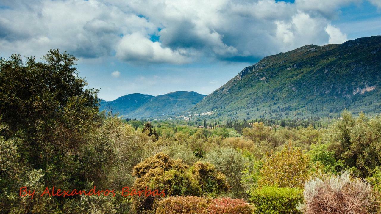 Bourikos House Corfu Διαμέρισμα Άνω Κορακιάνα Εξωτερικό φωτογραφία